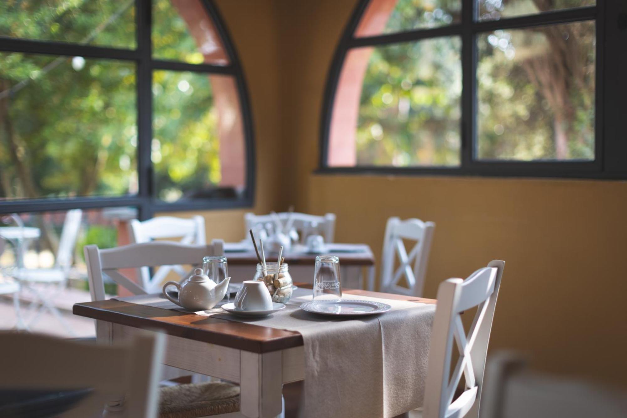 Podere San Filippo B&B-Apartment-Pet Friendly-Rent Bike And Bike Friendly Bibbona Ngoại thất bức ảnh